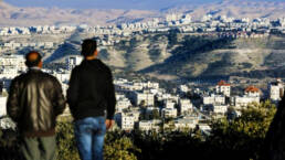 الشباب_الفلسطيني_مركز_دراسات_الوحدة_العربية