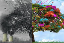 الأصالة_والمعاصرة_مركز_دراسات_الوحدة_العربية