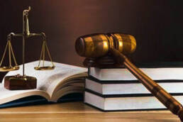 استقلال_القضاء_التونسي_بعد_الثورة_مركز_دراسات_الوحدة_العربية