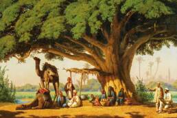 عالم_الإسلام_في_الشعر_الأمريكي_مركز_دراسات_الوحدة_العربية