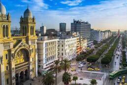 المال_المهاجر_في_تونس_وإمكانات_تفعيله_في_تحقيق_التنمية_مركز_دراسات_الوحدة_العربية