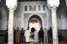 _المغربي_مركز_دراسات_الوحدة_العربية