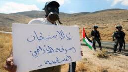 التعداد_السكاني_الفلسطيني_2017_مركز_دراسات_الوحدة_العربية