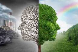 دور_الوقاية_في_تعزيز_فرص_الاستدامة_البيئية_مركز_دراسات_الوحدة_العربية