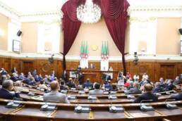 مجلس_الأمة_الجزائري_بعده_التمثيلي_ودوره_في_الاستقرار_المؤسسي_مركز_دراسات_الوحدة_العربية