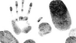 الهوية_والأمة_والمستقبل_تساؤلات_مركز_دراسات_الوحدة_العربية