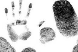 الهوية_والأمة_والمستقبل_تساؤلات_مركز_دراسات_الوحدة_العربية