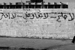 الذكرى_66_لثورة_يوليو_استقلال_وكرامة_مركز_دراسات_الوحدة_العربية