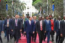 ملامح_السياسة_الخارجية_المصرية_تجاه_أفريقيا_مركز_دراسات_الوحدة_العربية