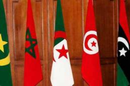 المغرب_العربي_وإشكالية_التحول_من_موضوع_إلى_فاعل_إقليمي_ودولي_مركز_دراسات_الوحدة_العربية