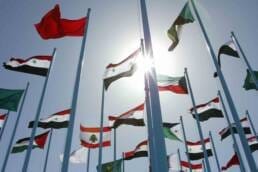 الوحدة العربية