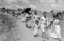 colonizing palestine