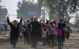 النسوية في أتون الإبادة الجماعية في غزة