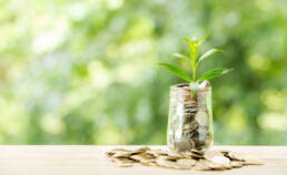 الإعلام وإشكالية تنمية الوعي البيئي في الوطن العربي