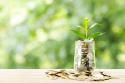 الإعلام وإشكالية تنمية الوعي البيئي في الوطن العربي