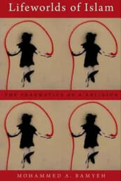 Lifeworlds of Islam: The Pragmatics of a Religion book review