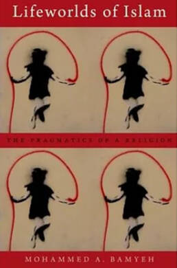 Lifeworlds of Islam: The Pragmatics of a Religion book review