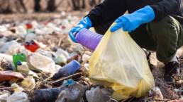 التطور الاجتماعي - التاريخي لقضية النفايات: من القرون الوسطى إلى حدود المرحلة الصناعية