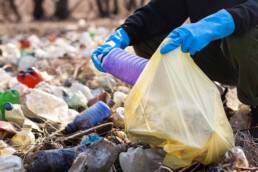 التطور الاجتماعي - التاريخي لقضية  النفايات: من القرون الوسطى إلى حدود المرحلة الصناعية