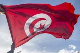 النخب السياسية التونسية