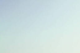 The Palestinian Idea: Film, Media and the Radical Imagination