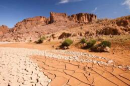 تأثير التغيرات المناخية مغربيًّا في الحركات البيئية