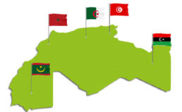 المغرب العربي بين وحدة الشعوب وتباين الحكومات
