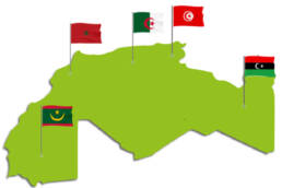 المغرب العربي بين وحدة الشعوب وتباين الحكومات